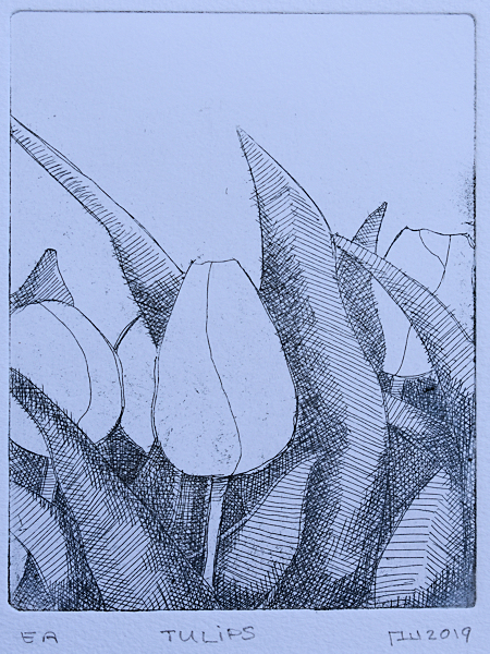tullips black