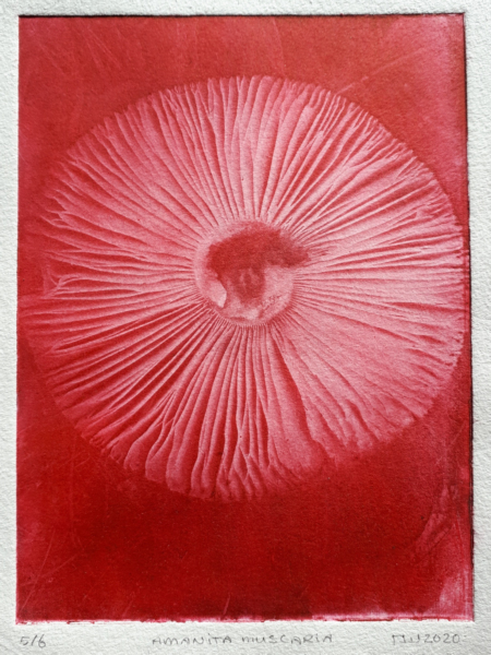 vliegenzwam red